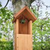 WiFi Bird Box Camera (3rd Gen) - Image 2