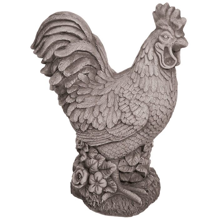 Cockerel