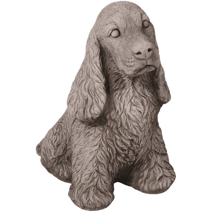 Dexter the Spaniel